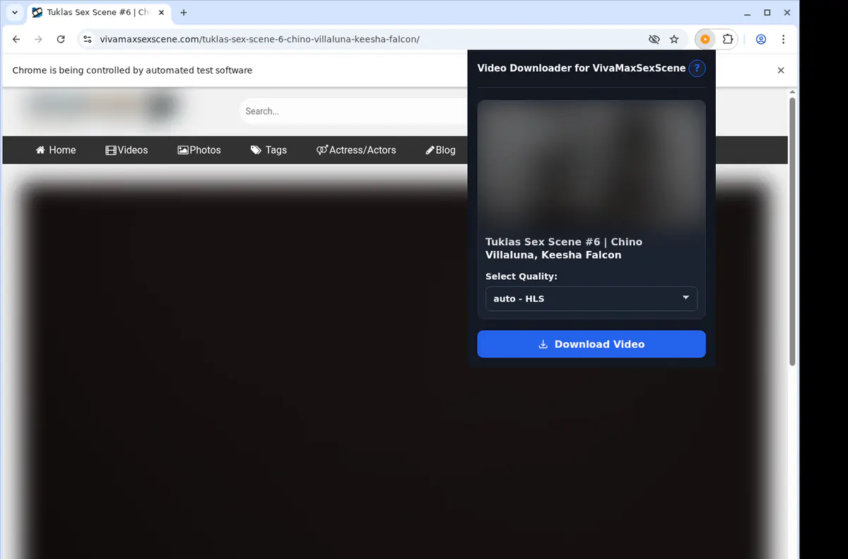 Vivamaxsexscene Video Downloader browser extension screenshot 3